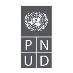 pnud-logo